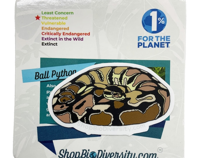 Ball Python Vinyl Sticker - Durable Waterproof Reptile Decal, Perfect Gift for Snake Lovers, Laptop, Water Bottle, or Journal Decoration