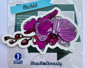Pink Orchid Vinyl Decal - Tropical Flower, Durable Waterproof Decal, Perfect Gift for Plant Lover, Laptop, Water Bottle,  Journal Deco