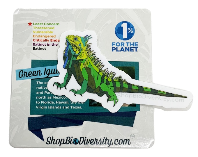 Green Iguana Vinyl Sticker - Durable, Waterproof Reptile Decal, Perfect for Laptops, Water Bottles, or Gifts for Reptile Enthusiasts
