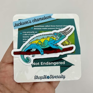 Adesivo Camaleão de Jackson – Design ecológico e vibrante, perfeito para amantes de répteis, garrafas de água, laptops e entusiastas da natureza!