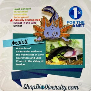 Adorable Purple Axolotl Enamel Pin - Cute Kawaii Lapel Pin for Axolotl Lovers, Backpack Accessories, Unique Gift for Animal Enthusiasts
