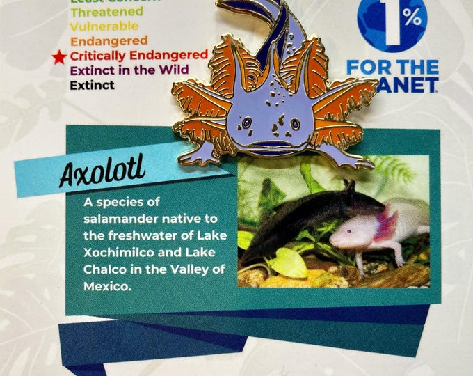 Adorable Purple Axolotl Enamel Pin - Cute Kawaii Lapel Pin for Axolotl Lovers, Backpack Accessories, Unique Gift for Animal Enthusiasts