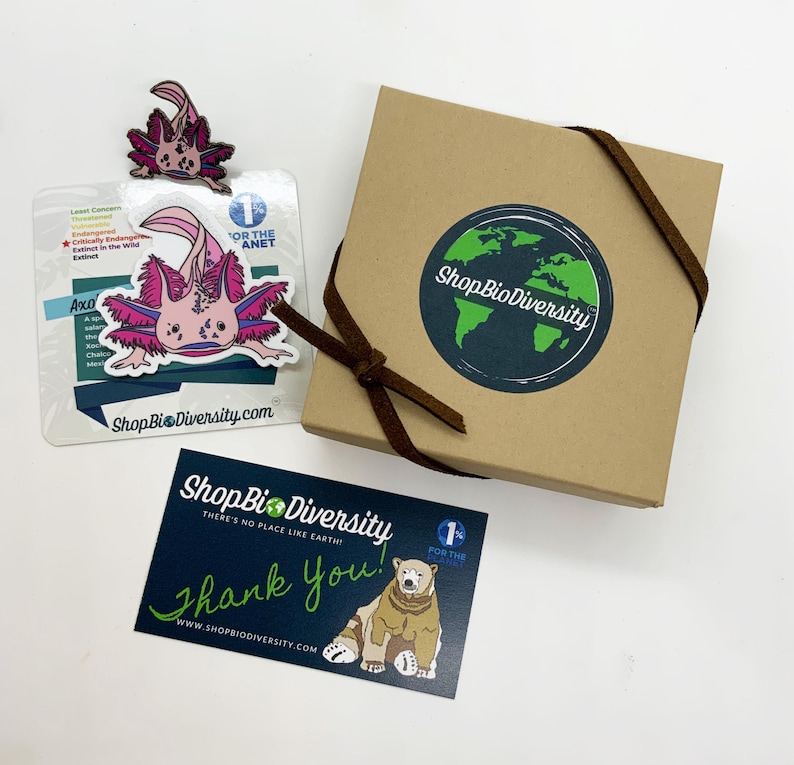 Ball Python Vinyl Sticker for Kids and Adults Endangered Species ...