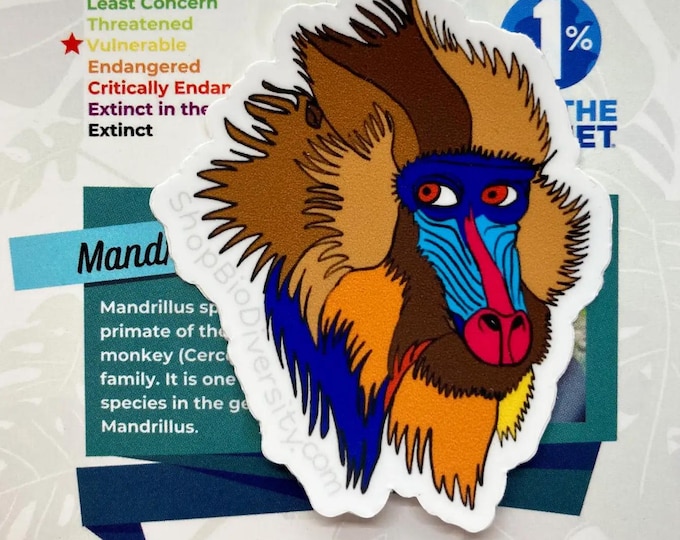 Mandrill Vinyl Sticker - Colorful Rainforest Monkey Decal, Wildlife Art, Eco-Friendly Durable Sticker, Conservation Gift for Animal Lovers