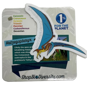 Hatzegopteryx Aufkleber - Prähistorische Flugsaurier Kunst, Geschenk für Dinosaurier-Liebhaber, Natur inspiriert, Fossilienaufkleber, 1% für das umweltfreundliche Vinyl