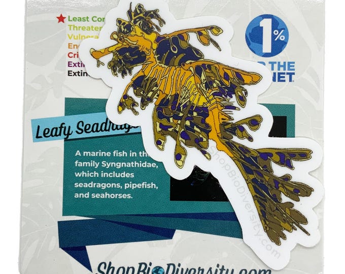 Leafy Seadragon Vinyl Sticker - Durable, Waterproof Marine Life Decal, Ocean Lover Gift, Unique Sea Animal Sticker, Eco-Friendly Art