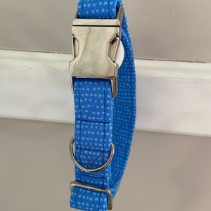 Blue dot dog collar, bright blue dog collar, blue dog collar, fashion dog collar