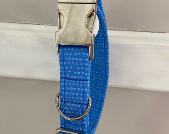 Blue dot dog collar, bright blue dog collar, blue dog collar, fashion dog collar