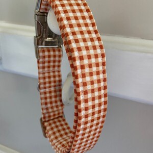 May include: A brown and white gingham dog collar with a silver buckle.