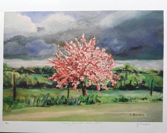 PRINTS