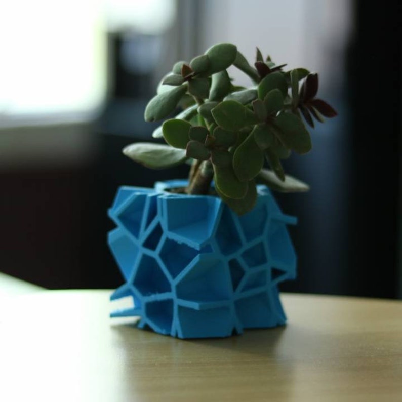 Cube Voronoi Pot Planter Flower Pot Planter Hand-Made Succulent Decoration 3D Printed 12 Colors