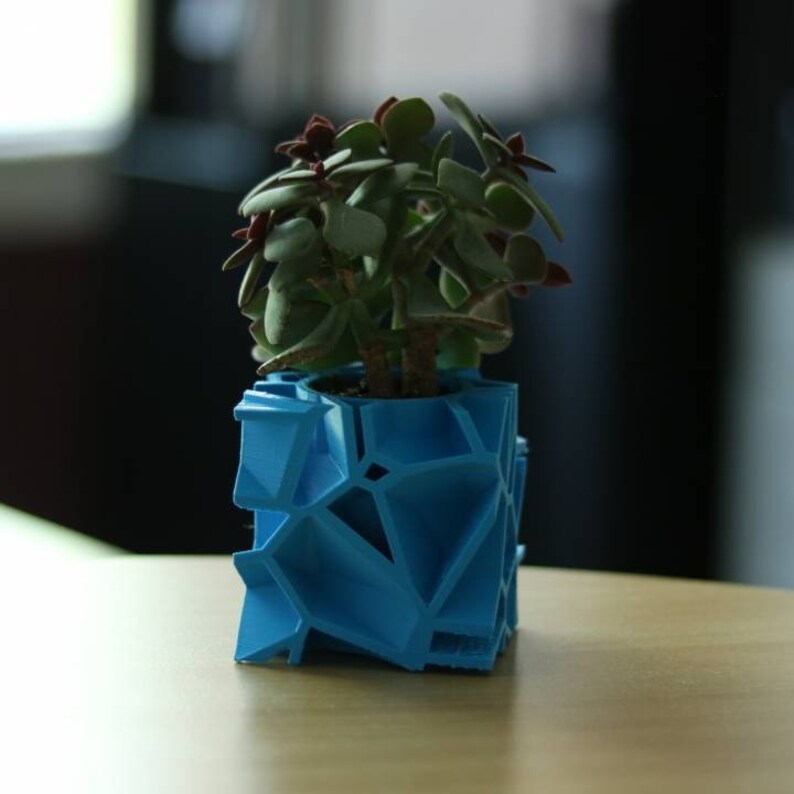 Cube Voronoi Pot Planter Flower Pot Planter Hand-Made Succulent Decoration 3D Printed 12 Colors