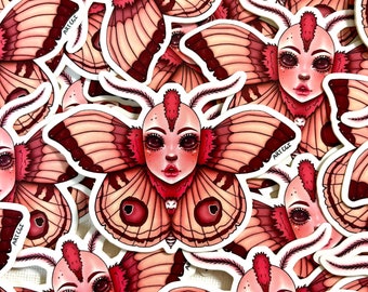 Falena Pink Lady / Vinile / Adesivo impermeabile