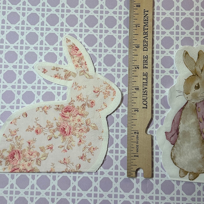 Peter Rabbit Rice Paper - Etsy