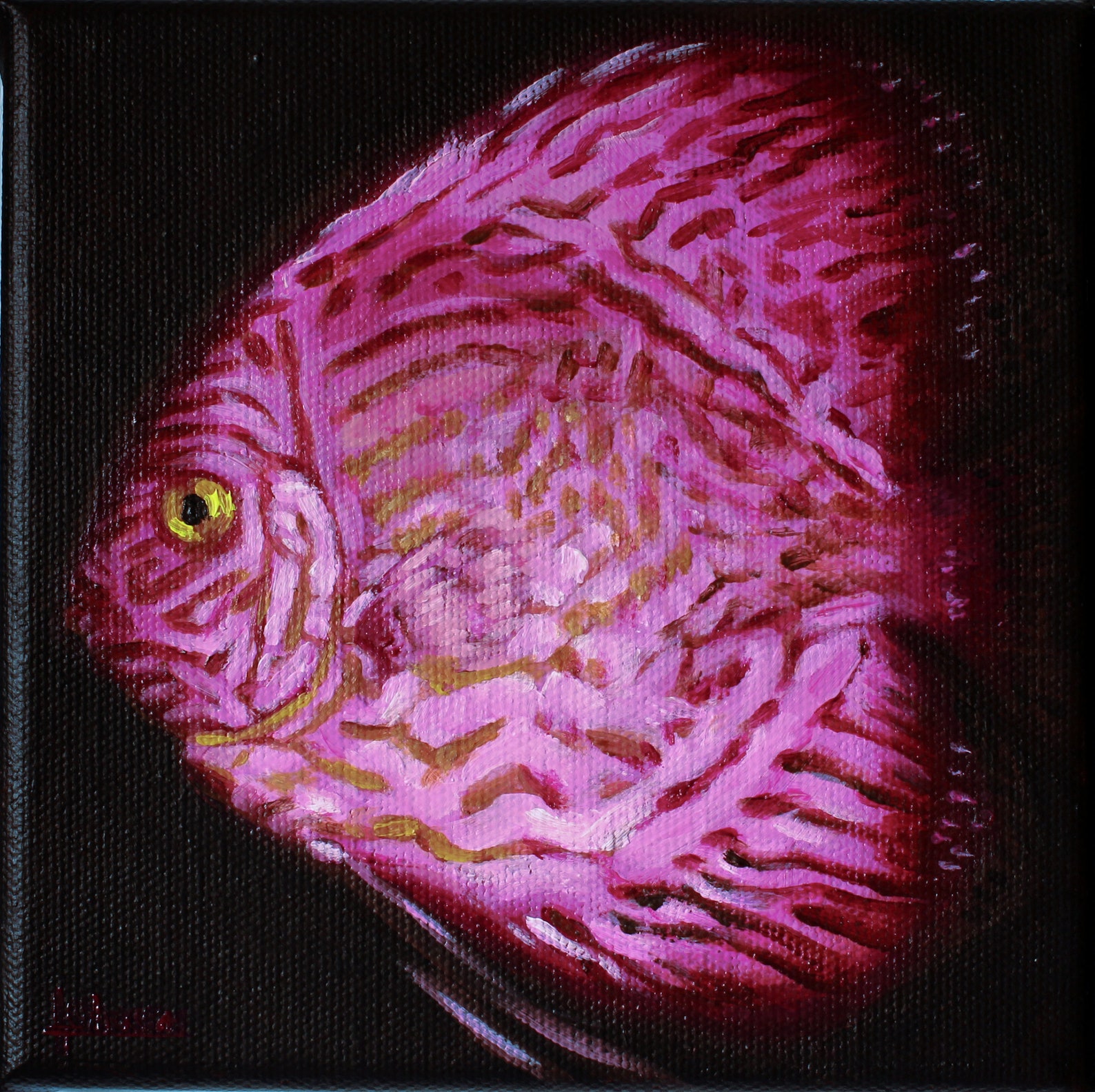 Pink purple discus fish original painting Fish art Etsy