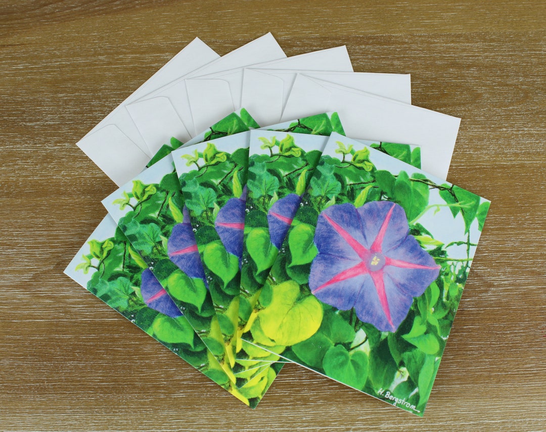 Note Cards Set With Envelopes (5 Pk), Morning Glory, 5.5" X 4" Folded ...