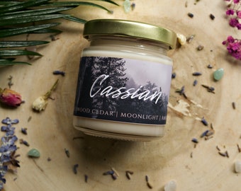 Rhysand Sarah J Maas A Court of Mist and Fury 8fl oz Soy Wax Candle