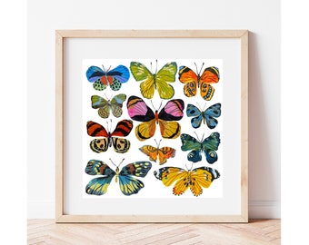 Colorful Butterflies in Ink and Gouache Print