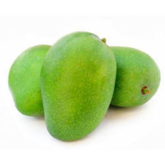 Fresh Baby Green Mangoes from INDIA 2 pounds Etsy