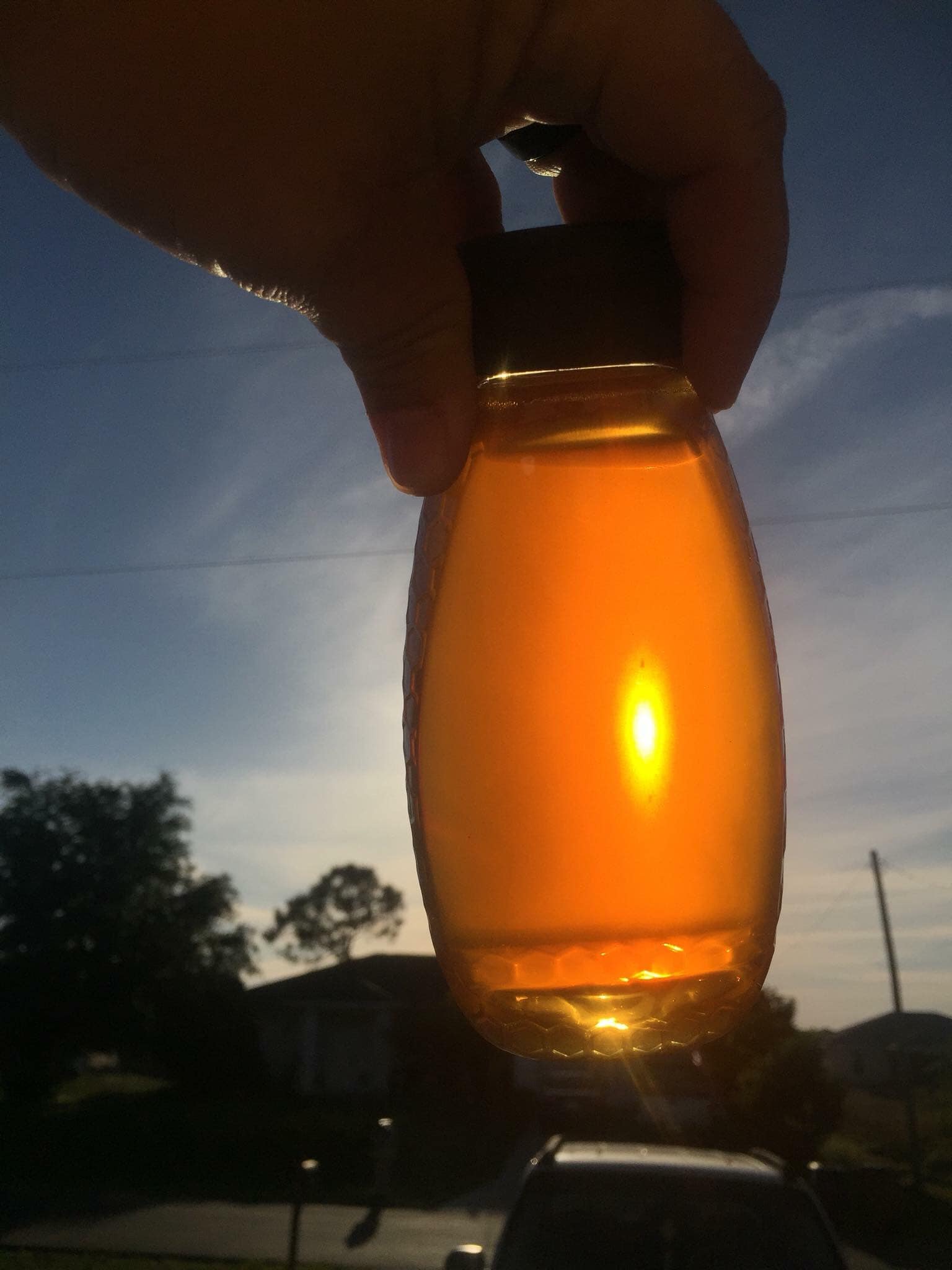 Orange Blossom Honey | Orange Blossom Honey | Honey | Orange | Raw Honey | Artisan Honey | Superfood | Honey Gift Set | Natural Sweetener