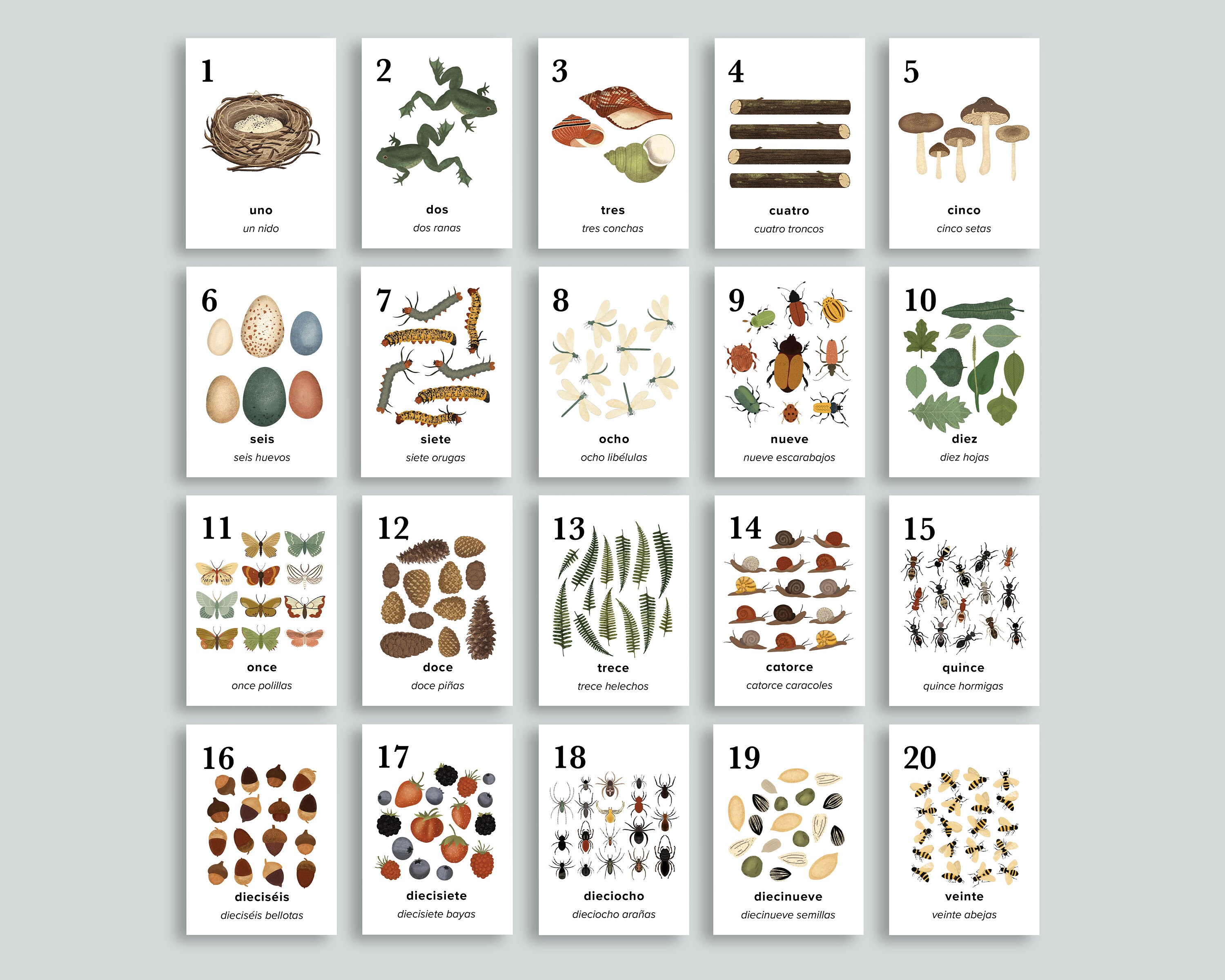 Spanish Nature Number Cards 1-20 Fall Printable Wall Art - Etsy