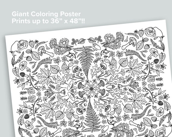 Giant Nature Coloring Poster Homeschool Printables Black and White Large  Coloring Pages Fern Mushroom Flower Bees Moth Botany 
