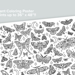 Giant Moth Coloring Poster | Homeschool Printables | Black and White Large Coloring Pages | Night Sky moon moths stars
