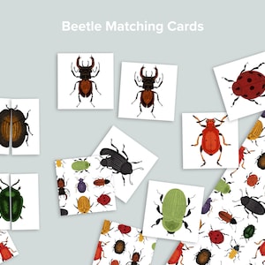 Beetles Matching Activity | Nature Beetles Bugs Preschool Homeschool Printables | Bug Sorting | Beetles Symmetry Match Game