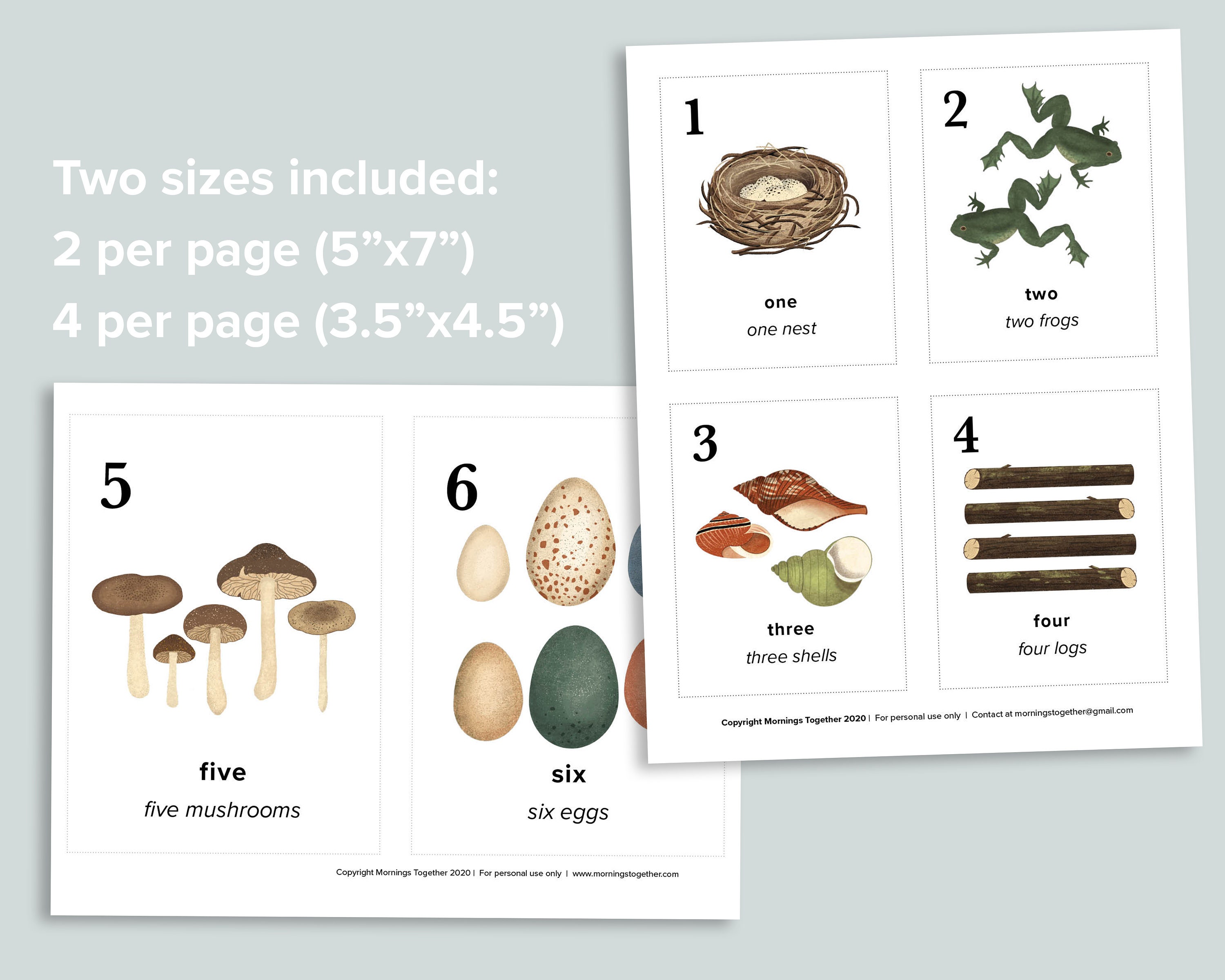 nature number cards charlotte mason homeschool printables etsy