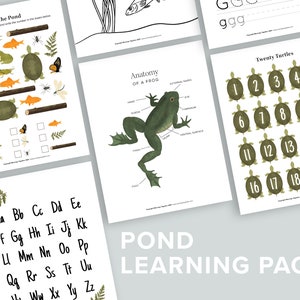 Pack d'apprentissage de l'étang | Pond Life Homeschool imprimables | Grenouille Escargot Coloriage | Nature Activités de comptage préscolaire Poisson que j'espionne