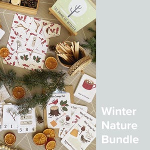 PAQUETE Naturaleza invernal / Material imprimible para la educación en el hogar durante las vacaciones / Tarjetas didácticas para contar en edad preescolar / Búsqueda del tesoro con números para colorear y combinar