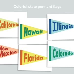 Pu&ograve; includere: Sei bandiere a pennone colorate con i nomi di diversi stati scritti su di esse. Le bandiere sono gialle, verdi, blu, rosse, arancioni e blu chiaro. Gli stati sono California, Hawaii, Illinois, Nuovo Messico, Florida e Colorado.