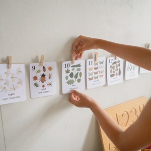 Cartões numéricos da natureza 1-20 | Charlotte Mason Pré K | Imprimíveis para ensino em casa | Arte da parede do berçário | Flashcards de contagem de matemática em sala de aula pré-escolar