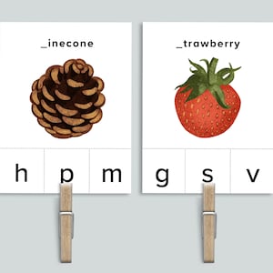 Begingeluiden Clipkaarten | Afdrukbaar natuur-abc | Geluidsactiviteit | Homeschool Printables Preschool Alfabet | Letter ABC in de klas