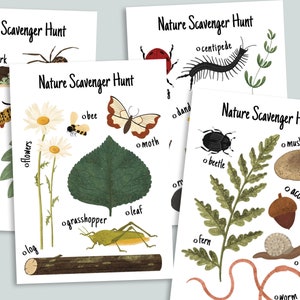 Nature Scavenger Hunt Printable | Charlotte Mason Homeschool Printables | Backyard Search | Woodland Outdoor Birthday Kid's Party Activity