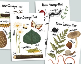 Nature Scavenger Hunt Printable | Charlotte Mason Homeschool Printables | Backyard Search | Woodland Outdoor Birthday Kid's Party Activity