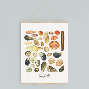 Vintage Muscheldruck | Druckbare Wandkunst | Antike Muscheln Poster | Ozean Strand Kunstwerk | Homeschool room Printables