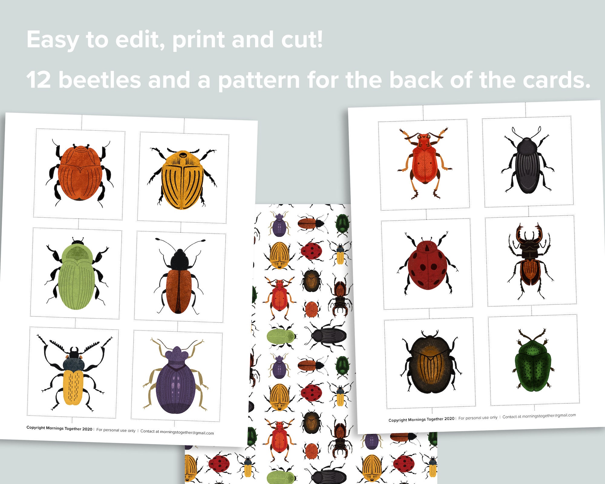 Beetles Matching Activity Nature Beetles Bugs Preschool - Etsy