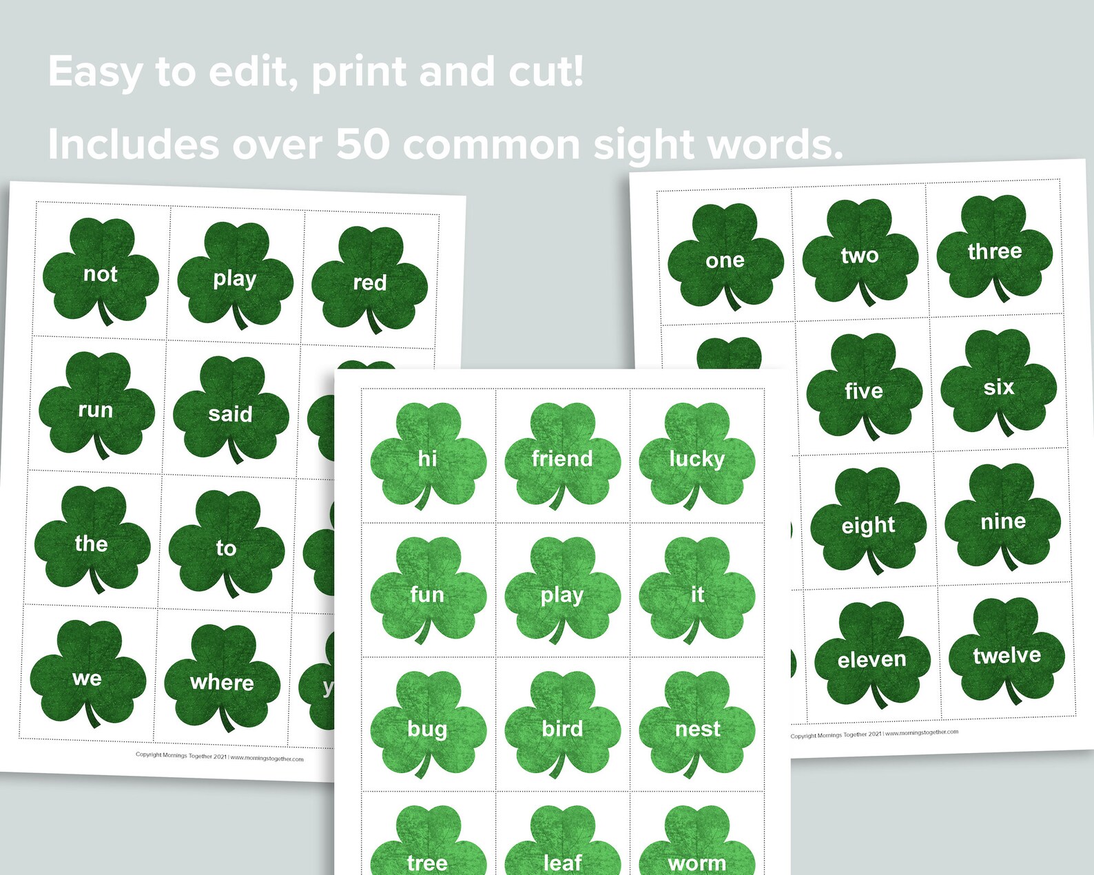 Editable Shamrock Sight Words Flashcards Saint Patrick's | Etsy