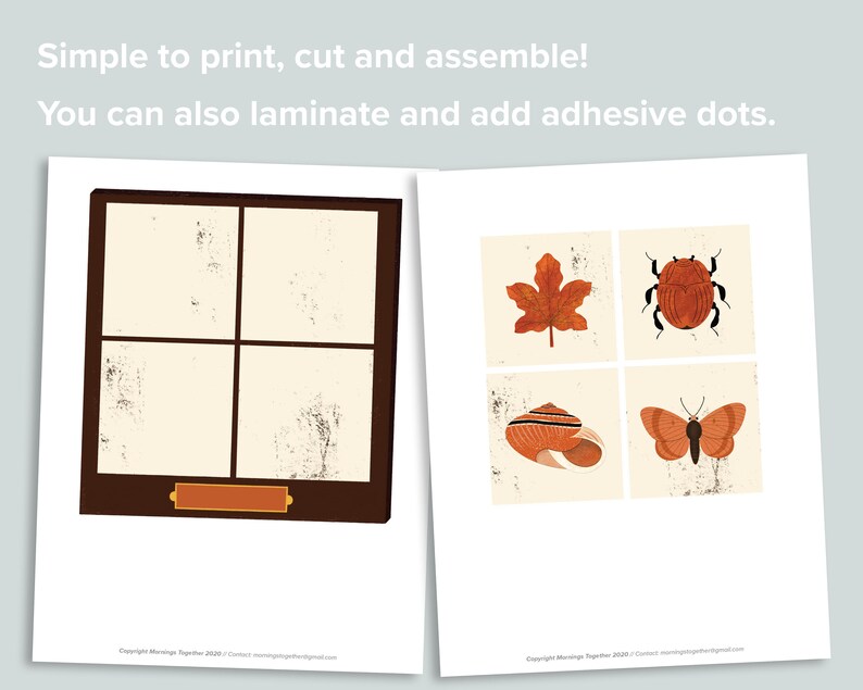 May include: Printable, cut-out, and assembleable window frame with four blank squares.  The frame is brown with a small orange nameplate.  There are four separate images of an orange leaf, a brown beetle, a brown seashell, and a brown butterfly.