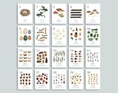 Nature Number Cards 1-20 | Charlotte Mason Pre K | Homeschool Printables | Nursery Wall Art | Preschool Classroom Math Counting Flashcards