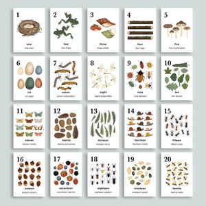 Cartões numéricos da natureza 1-20 | Charlotte Mason Pré K | Imprimíveis para ensino em casa | Arte da parede do berçário | Flashcards de contagem de matemática em sala de aula pré-escolar