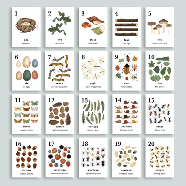 Nature Number Cards 1-20 | Charlotte Mason Pre K | Homeschool Printables | Nursery Wall Art | Preschool Classroom Math Counting Flashcards