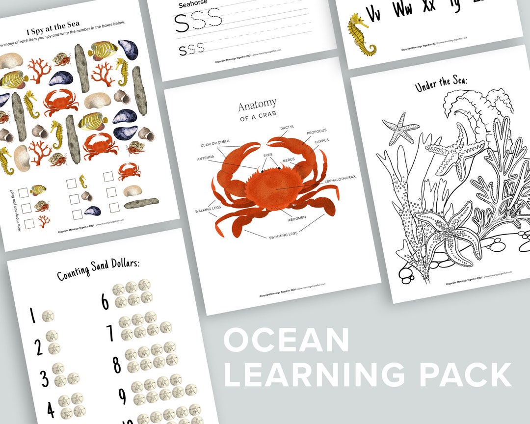 Ocean Learning Pack Sea Life Homeschool Printables Seashell Sharks ...