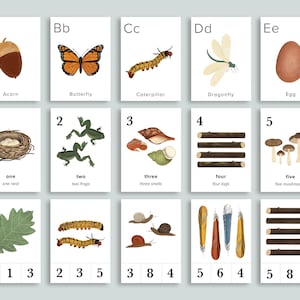BUNDLE Nature Preschool Homeschool Printables | Charlotte Mason Number Counting Flashcards | Count Clip Cards Alphabet Flash Cards ABCs