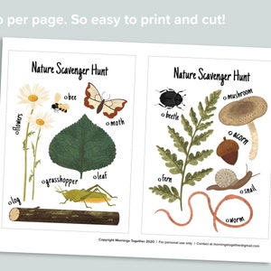 Op de afbeelding: Twee printbare natuur-speurtochtkaarten met illustraties van alledaagse voorwerpen in de buitenlucht. De kaarten tonen een bij, een mot, bloemen, een blad, een sprinkhaan, een boomstam, een kever, een paddenstoel, een eikel, een varen, een slak en een worm.