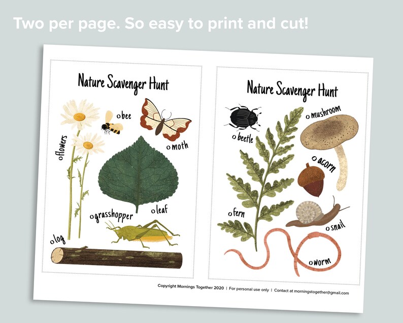 Op de afbeelding: Twee printbare natuur-speurtochtkaarten met illustraties van alledaagse voorwerpen in de buitenlucht. De kaarten tonen een bij, een mot, bloemen, een blad, een sprinkhaan, een boomstam, een kever, een paddenstoel, een eikel, een varen, een slak en een worm.