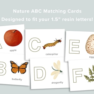 Atividade de correspondência de letras de resina ABC da natureza | Cartas pré-escolares | Alfabeto para impressão em casa | Jogo de aprendizagem de correspondência de ABC pré-escolar