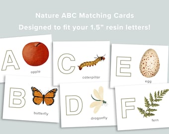 Natur ABC Resin Buchstaben-Spiel-Aktivität | Vorschulbuchstaben | Alphabet Homeschool Printables | Vorschule ABCs Lernspiel