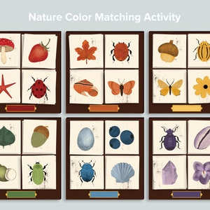 Voorschoolse activiteiten met kleurenmatch in de natuur | Charlotte Mason Homeschool-afdrukbare items | Voorschoolse Sorteren Sorteren Matching Game Herfst Herfst Matchen